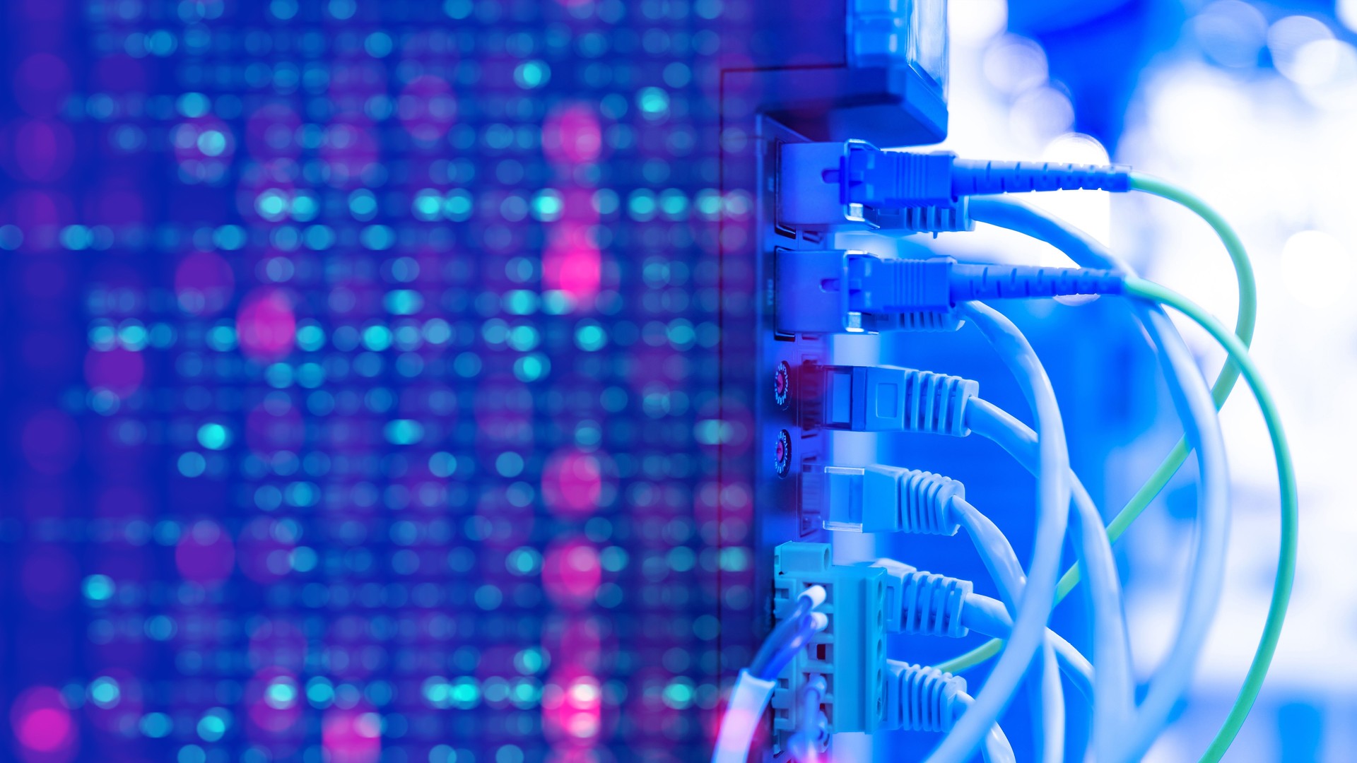 Network equipment. Wires connect equipment. Network hardware. Equipment for system administrator. Structured cabling systems. Network switch close up. Data storage and transmission. Server router